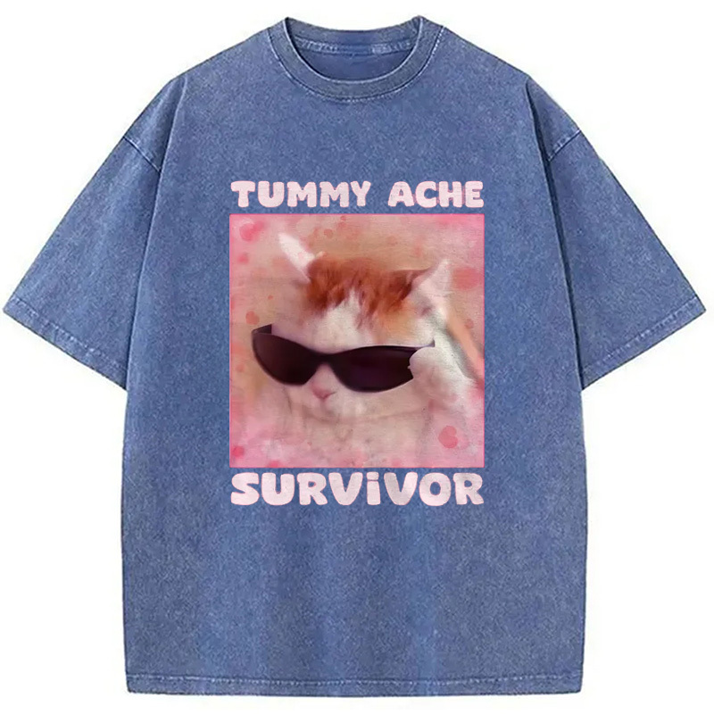 Tummy Ache Survivor Funny Cat Meme Washed T-Shirt
