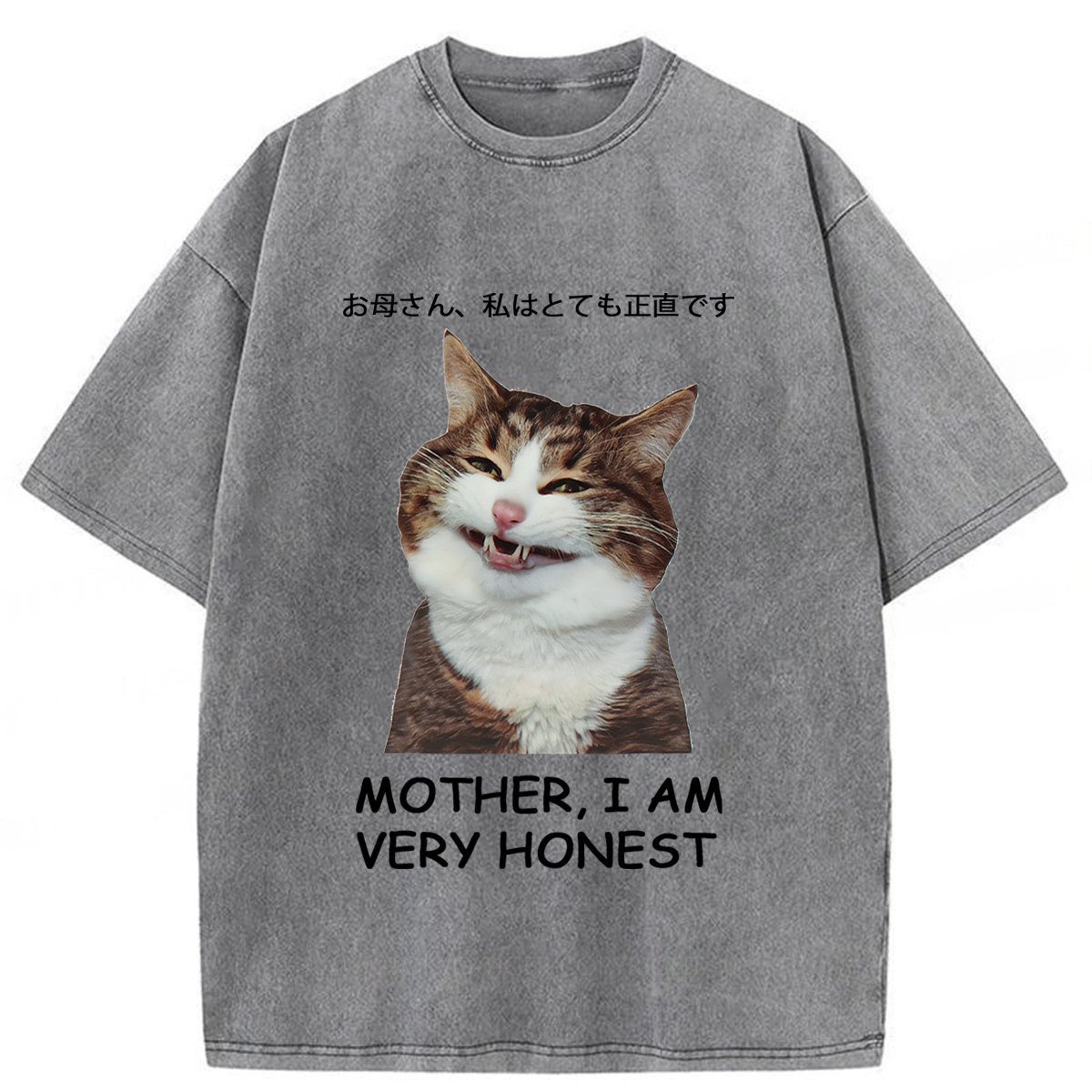 Tokyoviva Honest Cat Washed T-shirt