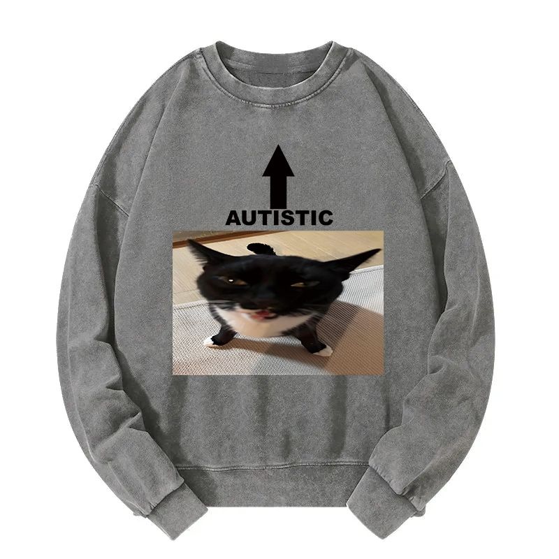 Autistic Cat Washed Sweatshirt