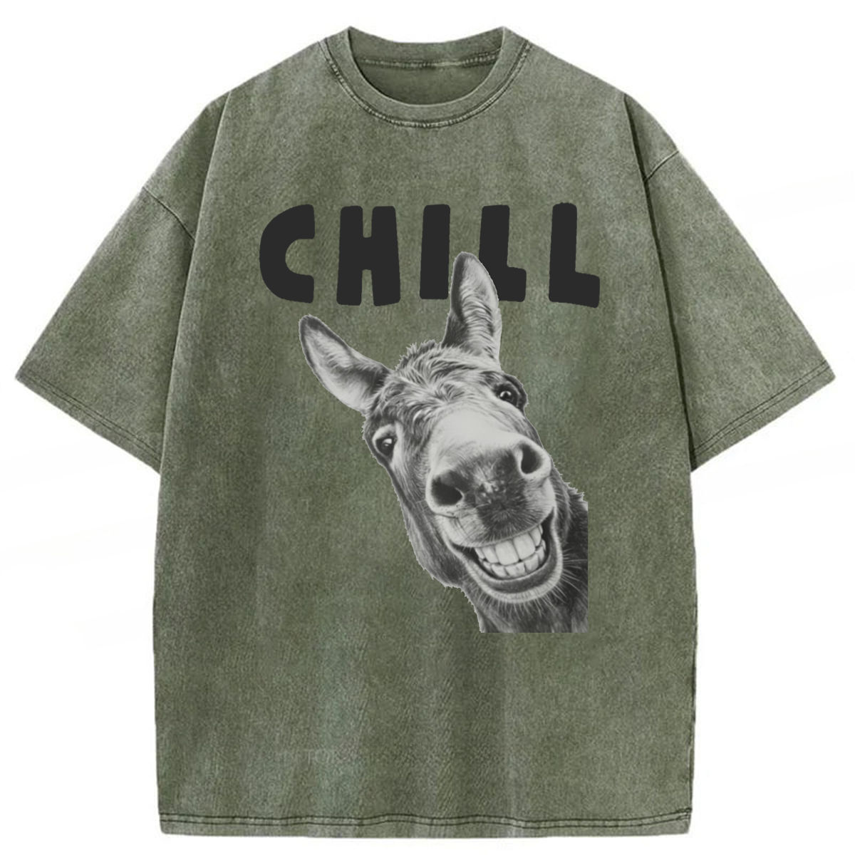 Tokyoviva Chill Donkey Washed T-shirt