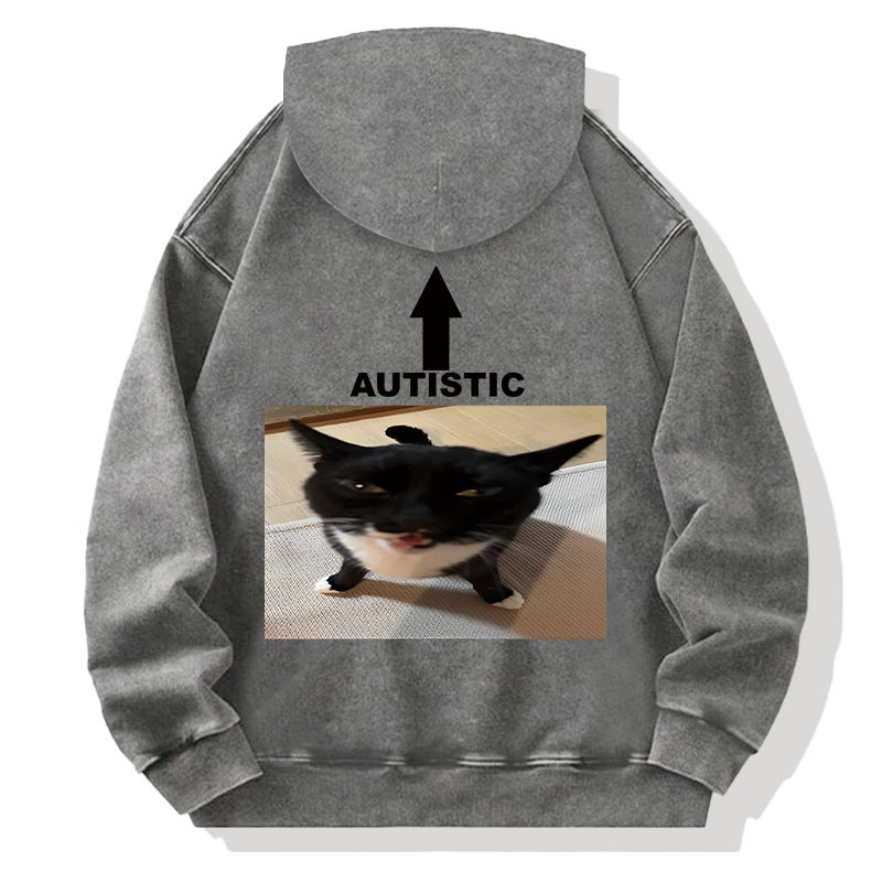 Autistic Cat Back Washed Hoodie