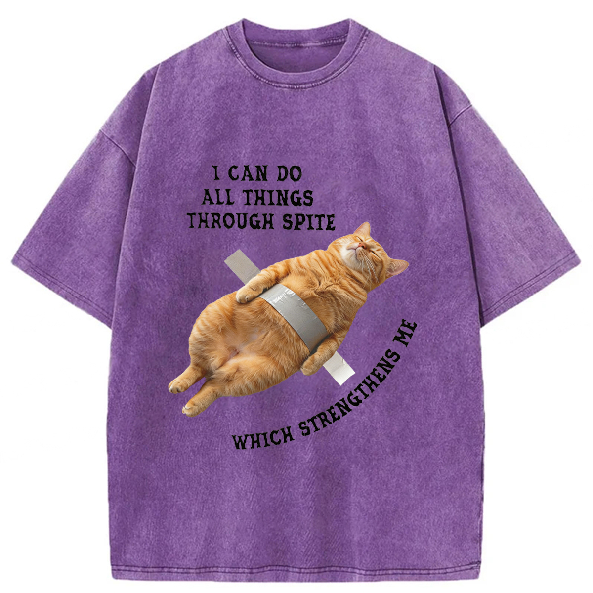 Tokyoviva All-powerful Cat Washed T-shirt