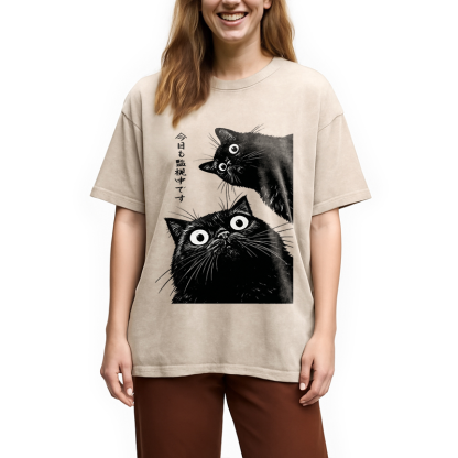 The Cat Is Watching Today Washed T-Shirt