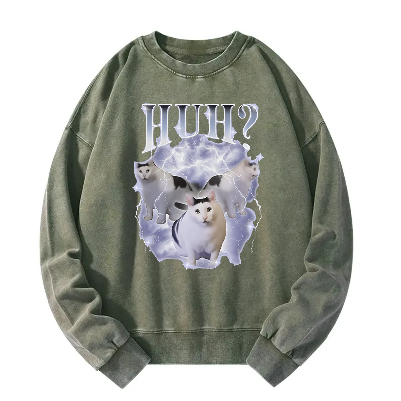 Huh Cat Chonky Ben Meme Washed Sweatshirt
