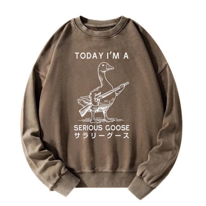 Serious Stupid Goose Washed Sweatshirt