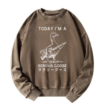 Serious Stupid Goose Washed Sweatshirt