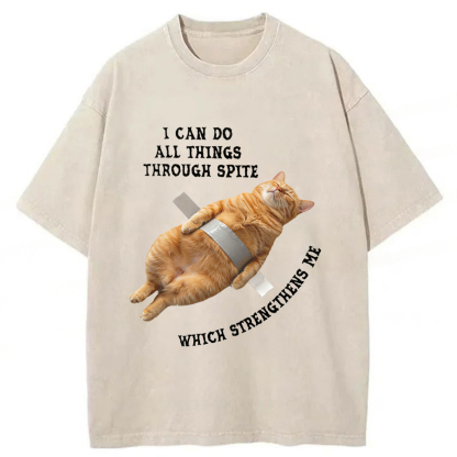 Tokyoviva All-powerful Cat Washed T-shirt