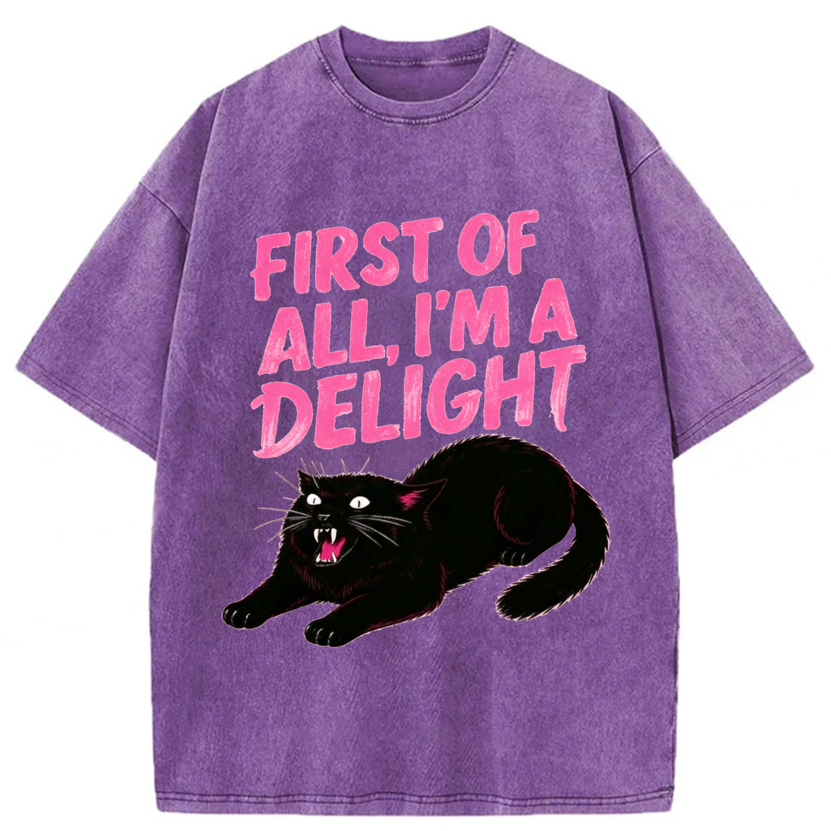 Tokyoviva Roaring Black Cat Washed T-shirt