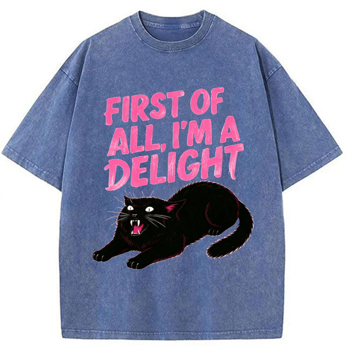 Tokyoviva Roaring Black Cat Washed T-shirt