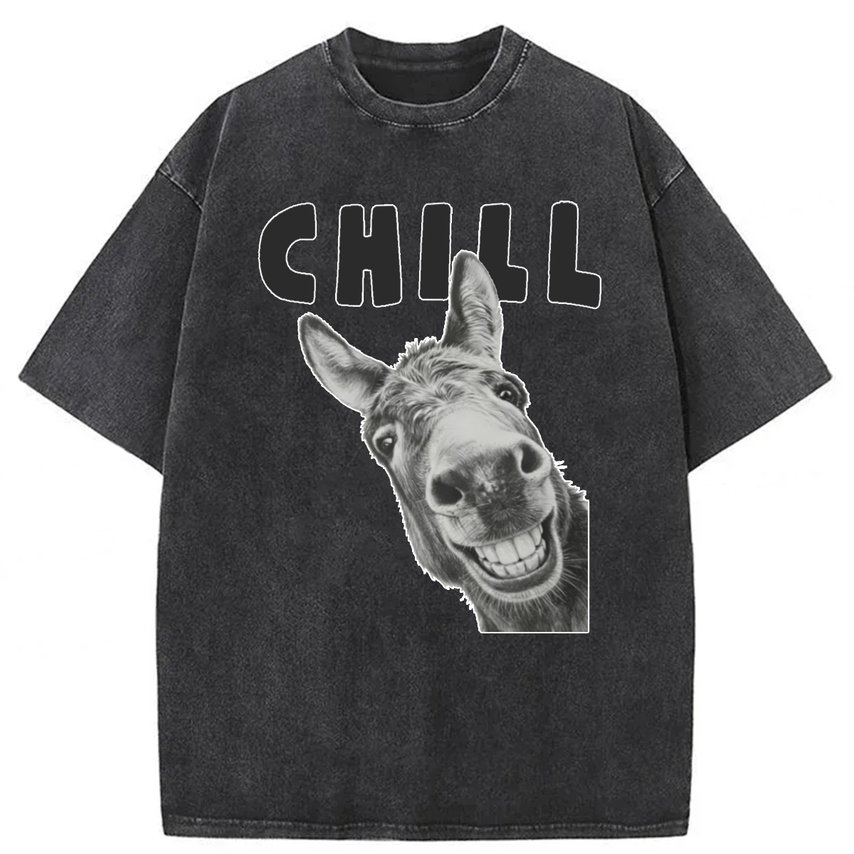 Tokyoviva Chill Donkey Washed T-shirt