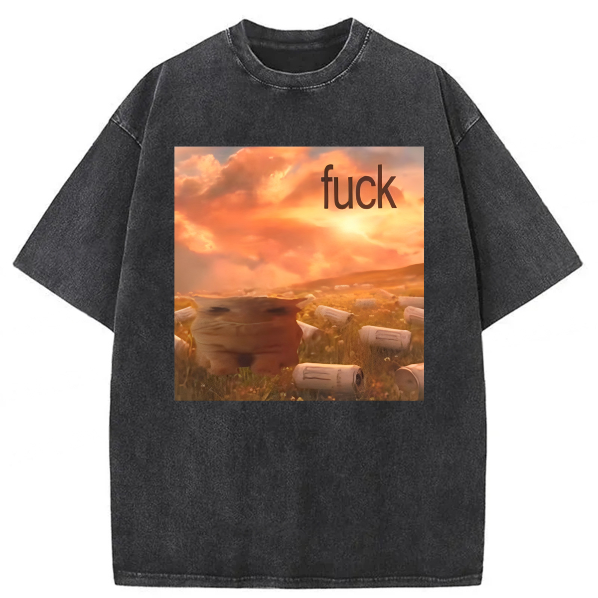 Tokyoviva Funny Cat Drinking Meme Washed T-shirt