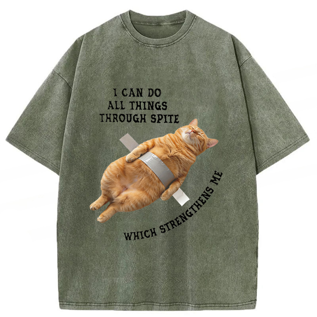 Tokyoviva All-powerful Cat Washed T-shirt