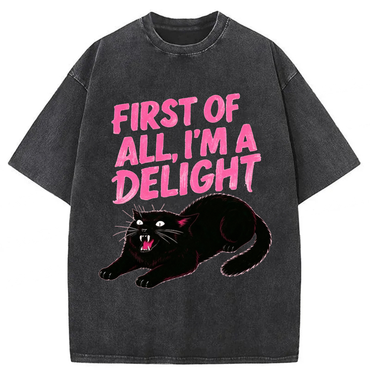 Tokyoviva Roaring Black Cat Washed T-shirt