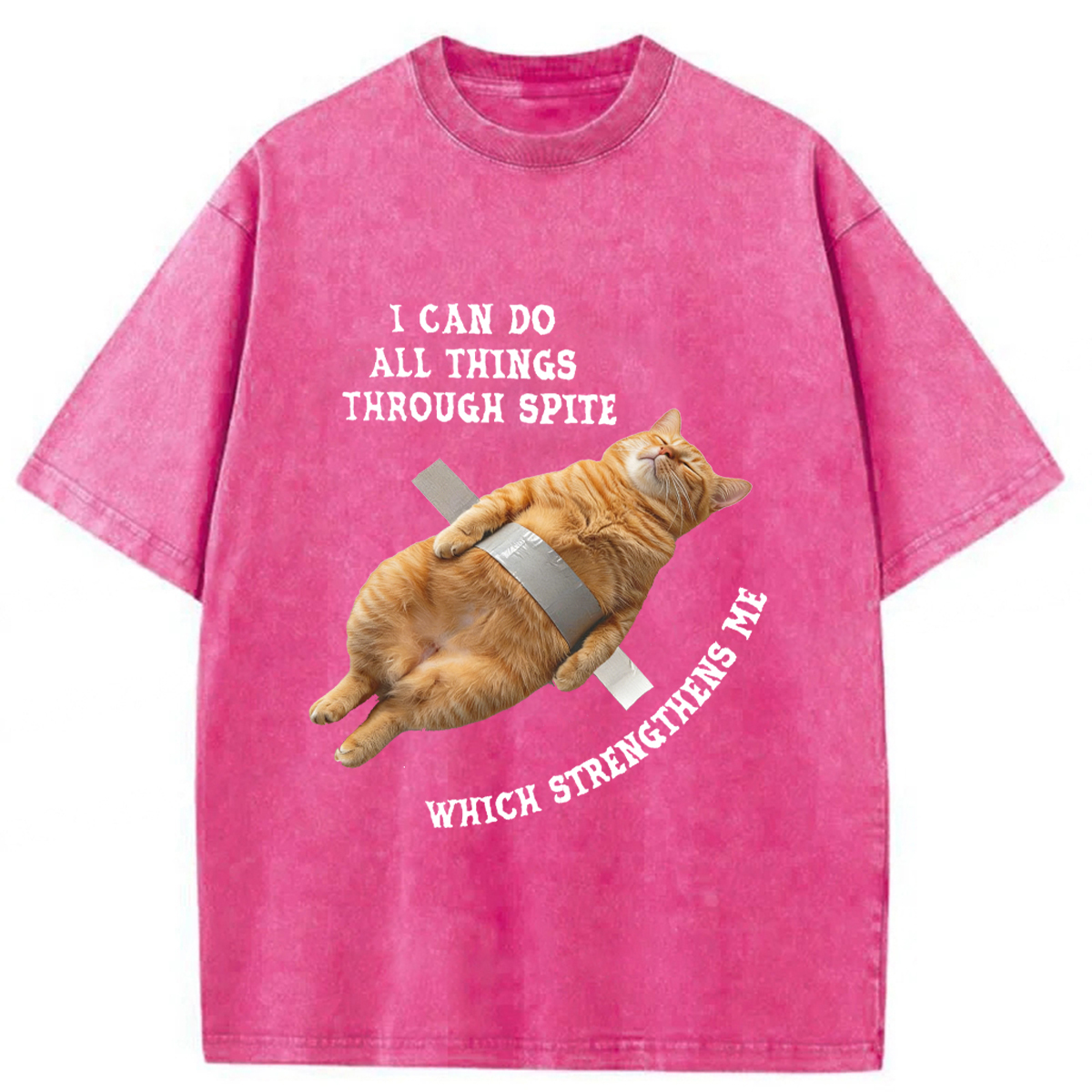 Tokyoviva All-powerful Cat Washed T-shirt