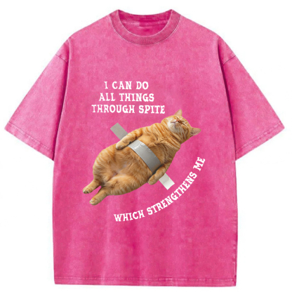 Tokyoviva All-powerful Cat Washed T-shirt