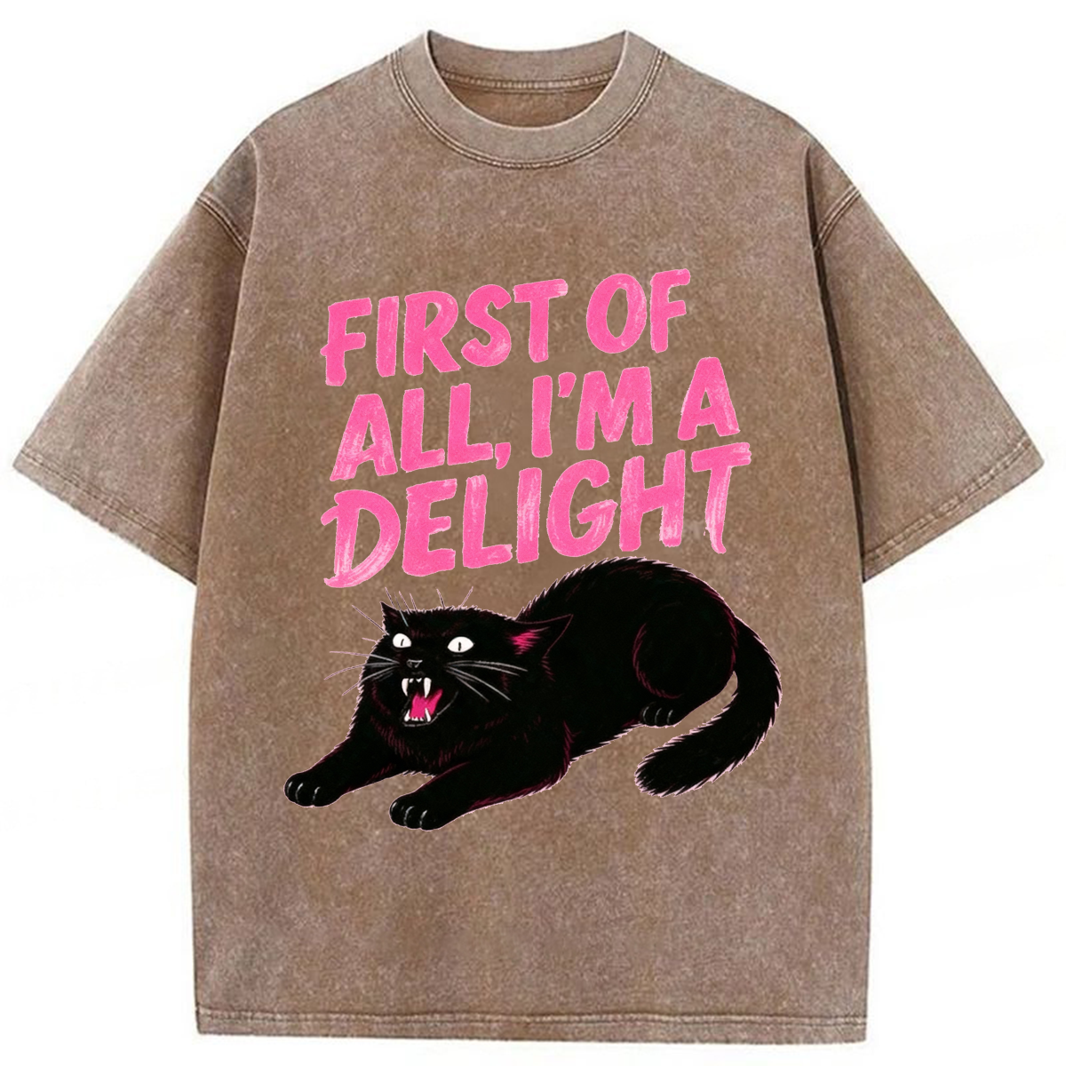 Tokyoviva Roaring Black Cat Washed T-shirt