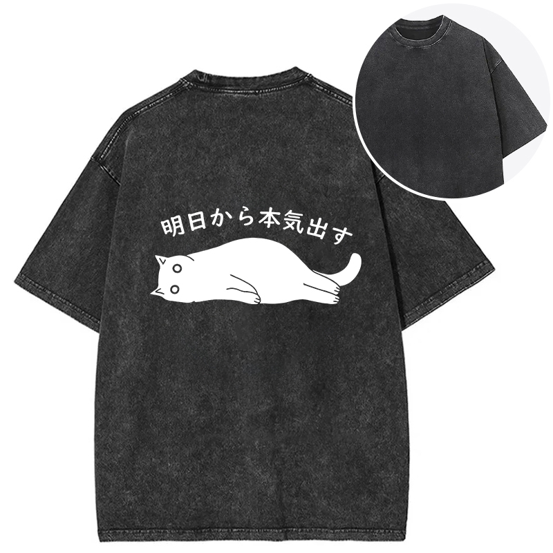 I'm Going To Get Serious Tomorrow Back Washed T-Shirt