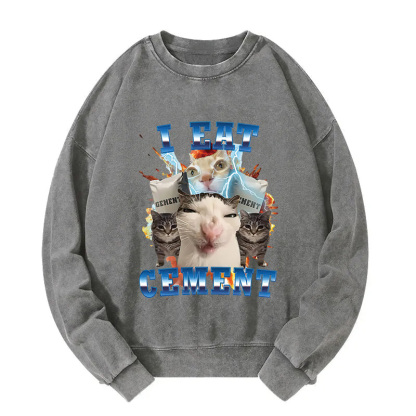 I Eat Cement Funny Cat Meme Washed Sweatshirt