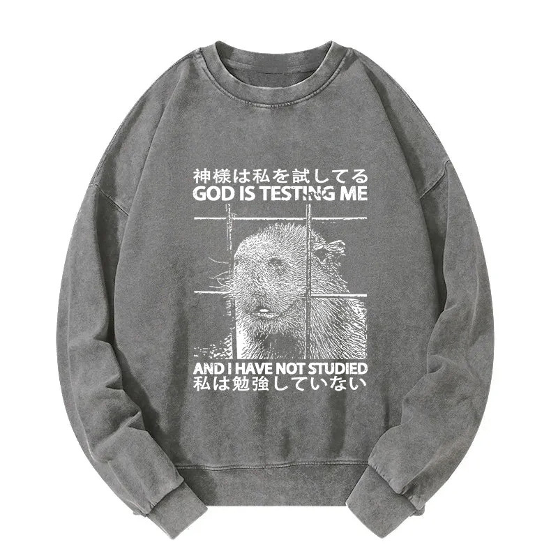 God Is Testing Me Washed Sweatshirt