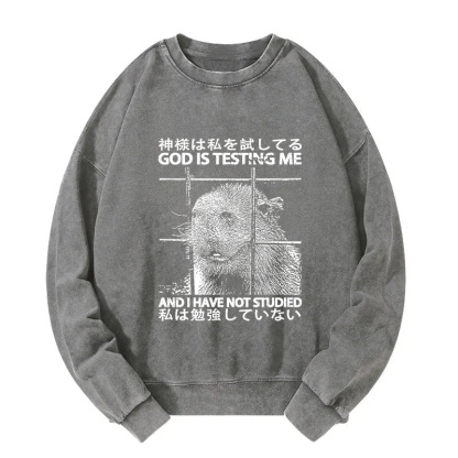 God Is Testing Me Washed Sweatshirt