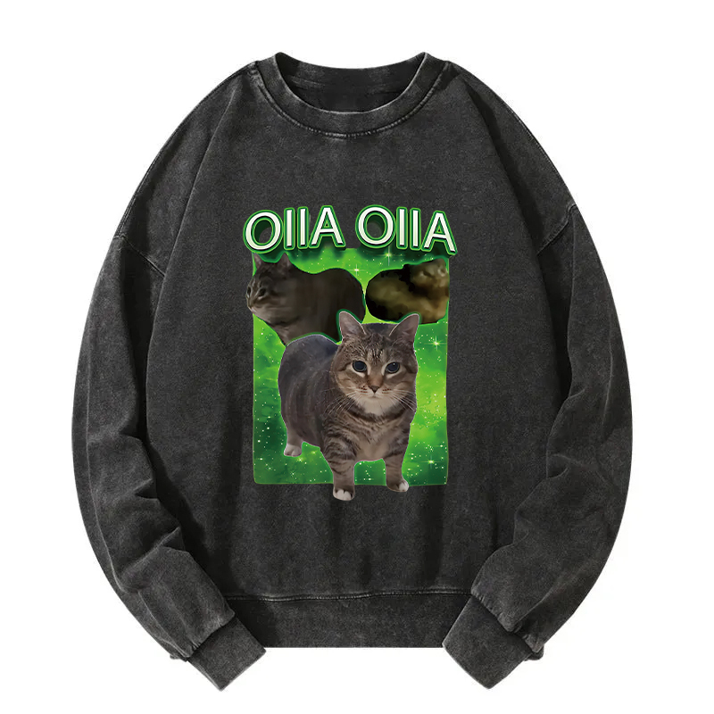 Oiia Cat Funny Meme Washed Sweatshirt