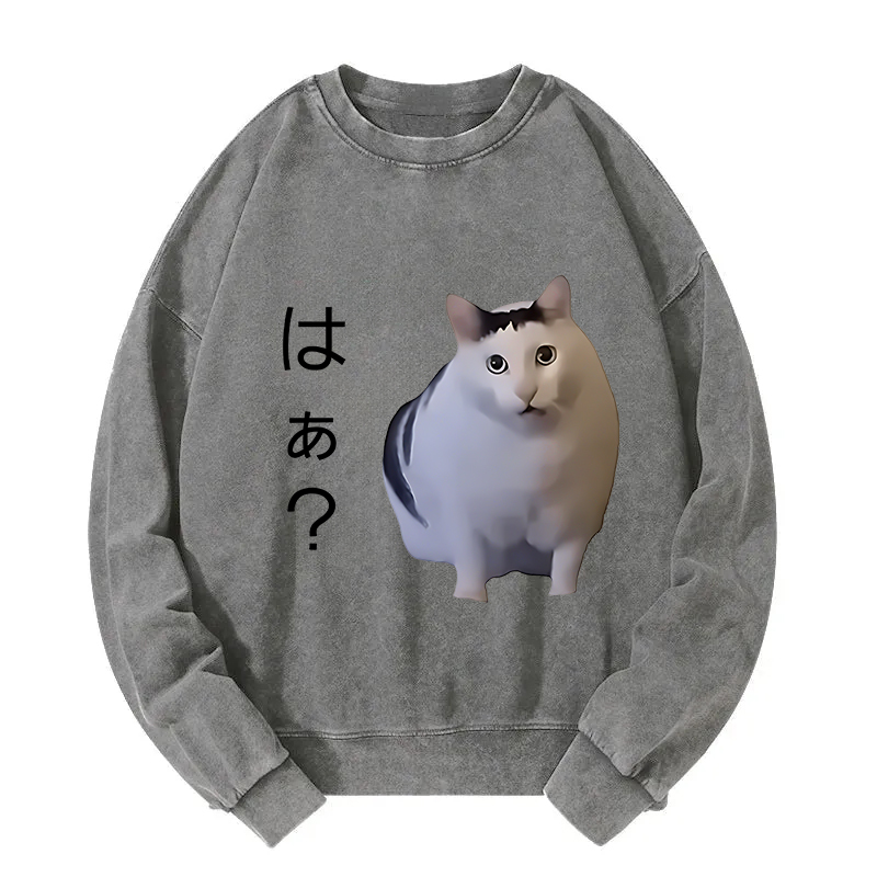 Suspicious Funny Cat Washed Sweatshirt