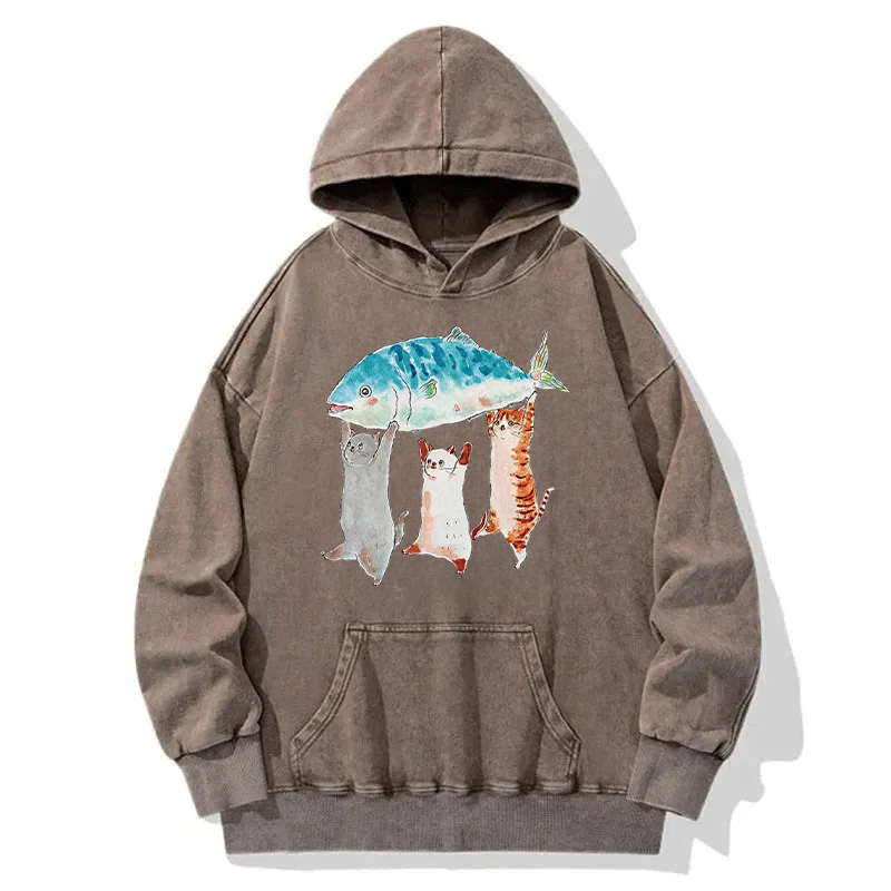 The Joy Of Harvest Washed Hoodie