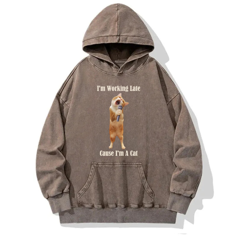 The Singing Cat Washed Hoodie
