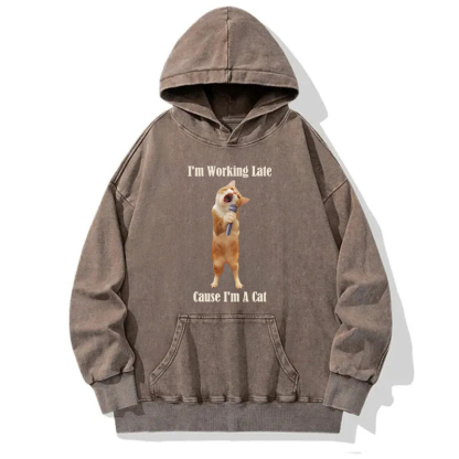 The Singing Cat Washed Hoodie
