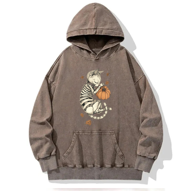 The Sleeping Kitten On Halloween Washed Hoodie