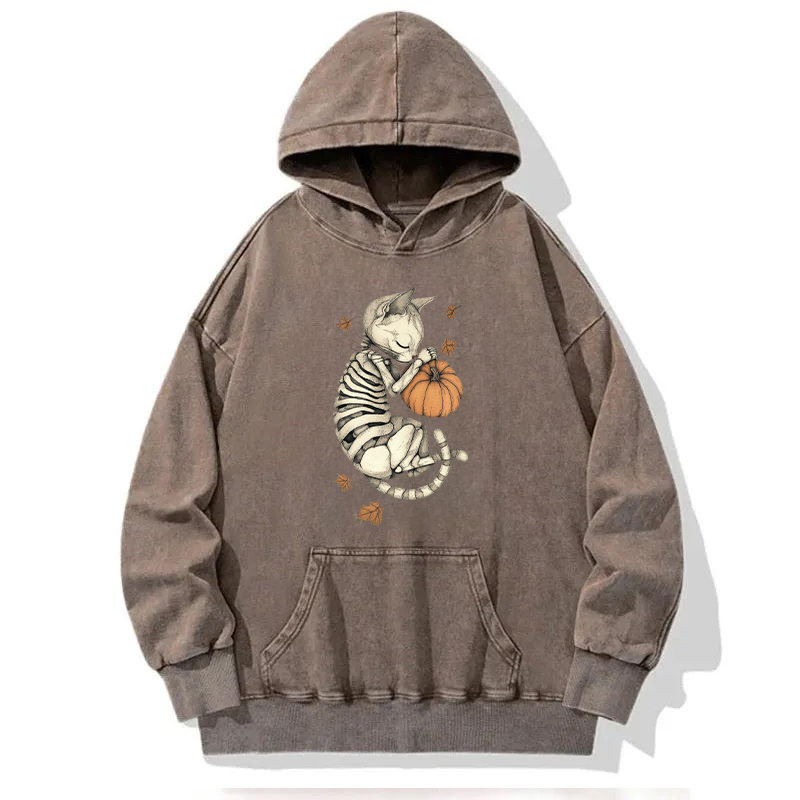 The Sleeping Kitten On Halloween Washed Hoodie