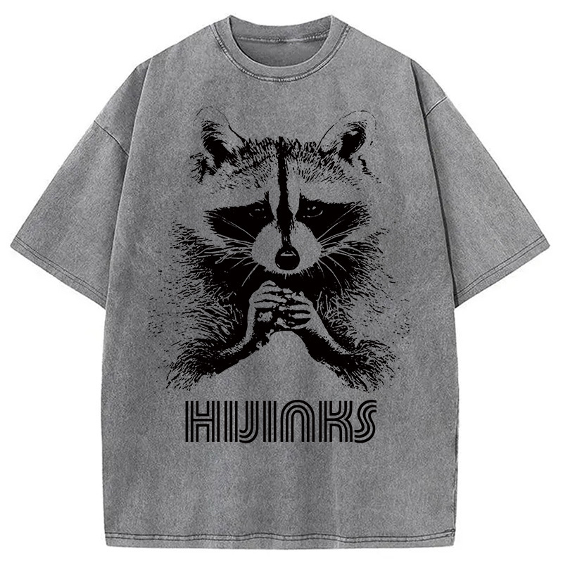 Raccoon Hijinks Washed T-Shirt