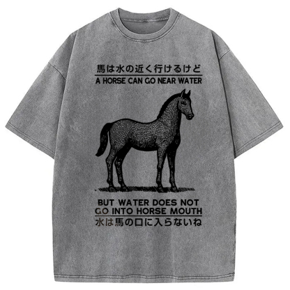 Funny Horse And Water Saying Washed T-Shirt