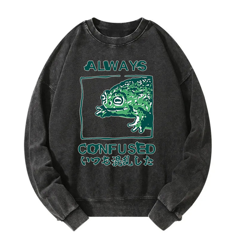 Always Confused Frog Washed Sweatshirt