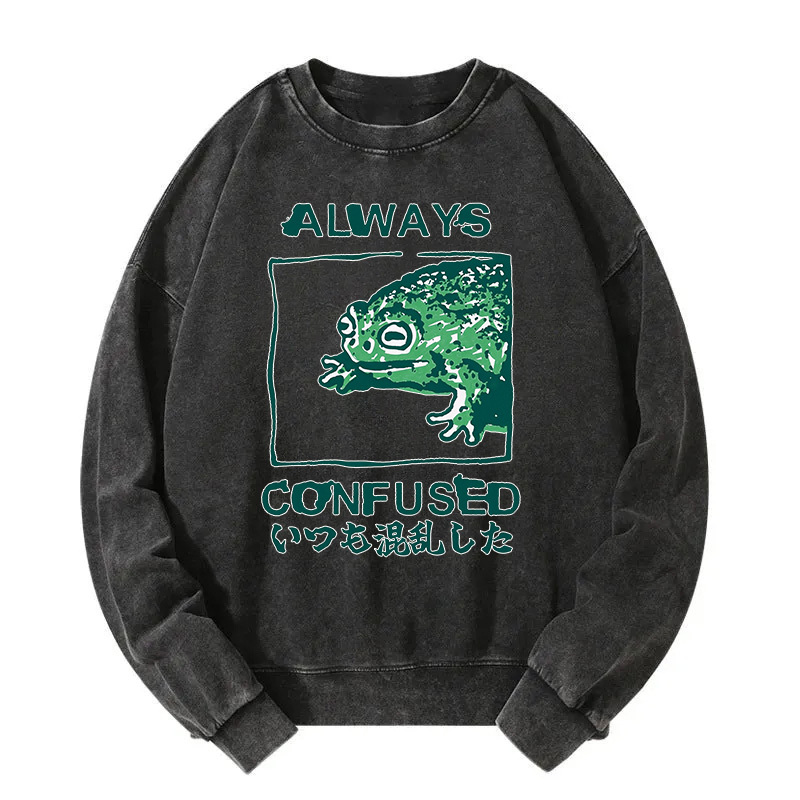 Always Confused Frog Washed Sweatshirt