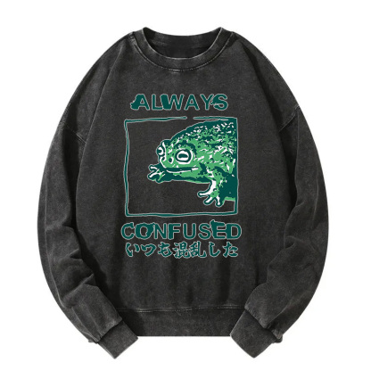 Always Confused Frog Washed Sweatshirt