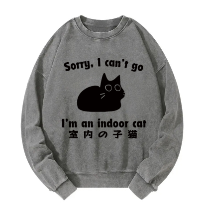 Indoor Kitten Washed Sweatshirt
