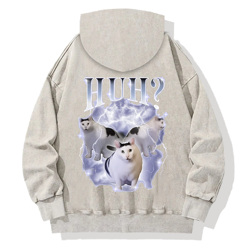 Huh Cat Chonky Ben Meme Back Washed Hoodie