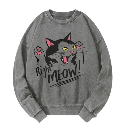 Right Meow Funny Cat Meme Washed Sweatshirt