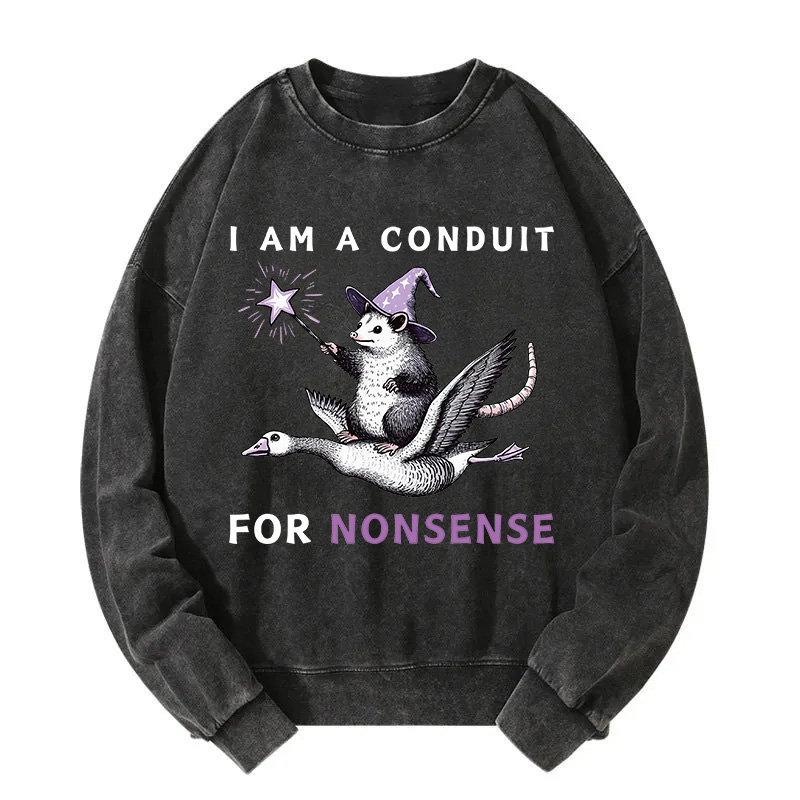 Opossum Riding Flying Goose Washed Sweatshirt