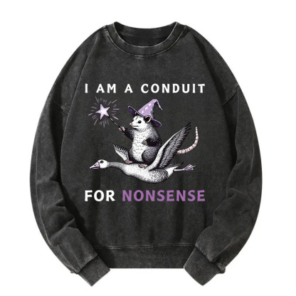 Opossum Riding Flying Goose Washed Sweatshirt