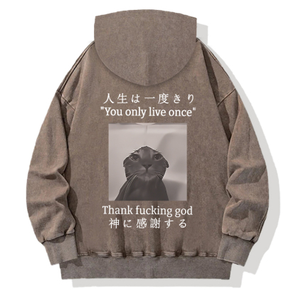 Funny Melancholy Cat Back Washed Hoodie