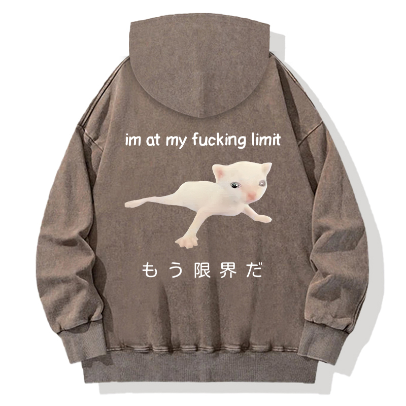 Cat Reaching Its Limit Back Washed Hoodie
