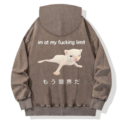 Cat Reaching Its Limit Back Washed Hoodie