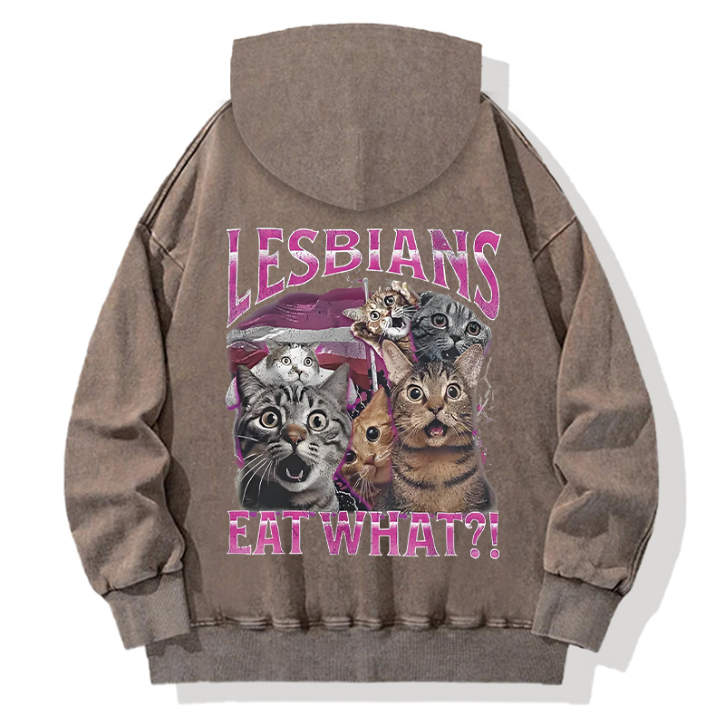 Lesbians Eat What?! Funny Back Washed Hoodie
