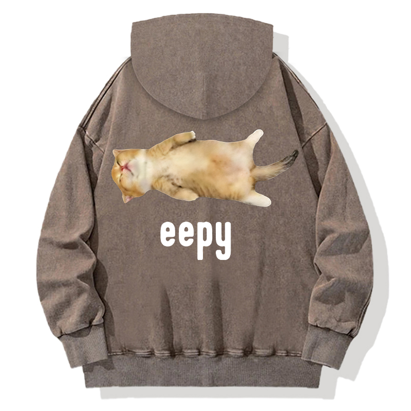 Silly Sleepy Cat Meme Back Washed Hoodie