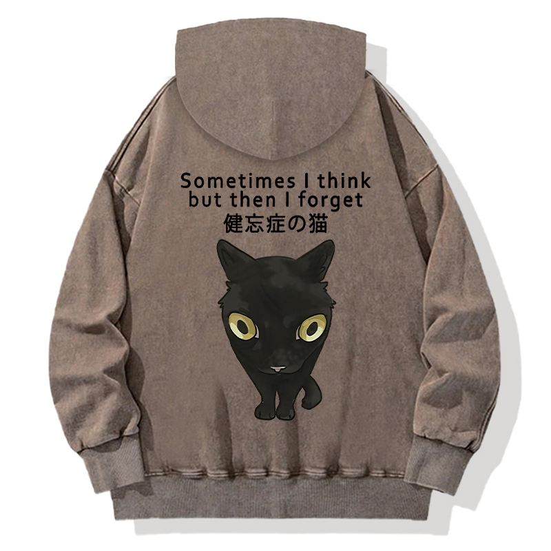Amnesiac Cat Back Washed Hoodie