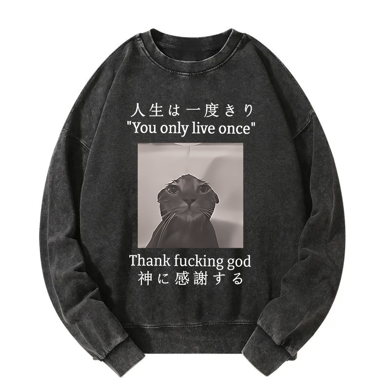 Funny Melancholy Cat Washed Sweatshirt