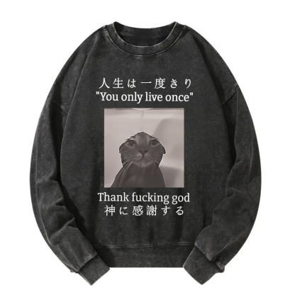Funny Melancholy Cat Washed Sweatshirt