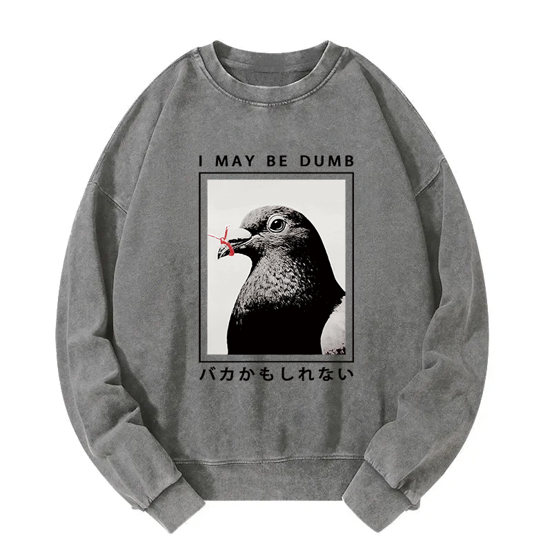 I May Be Dumb Funny Washed Sweatshirt